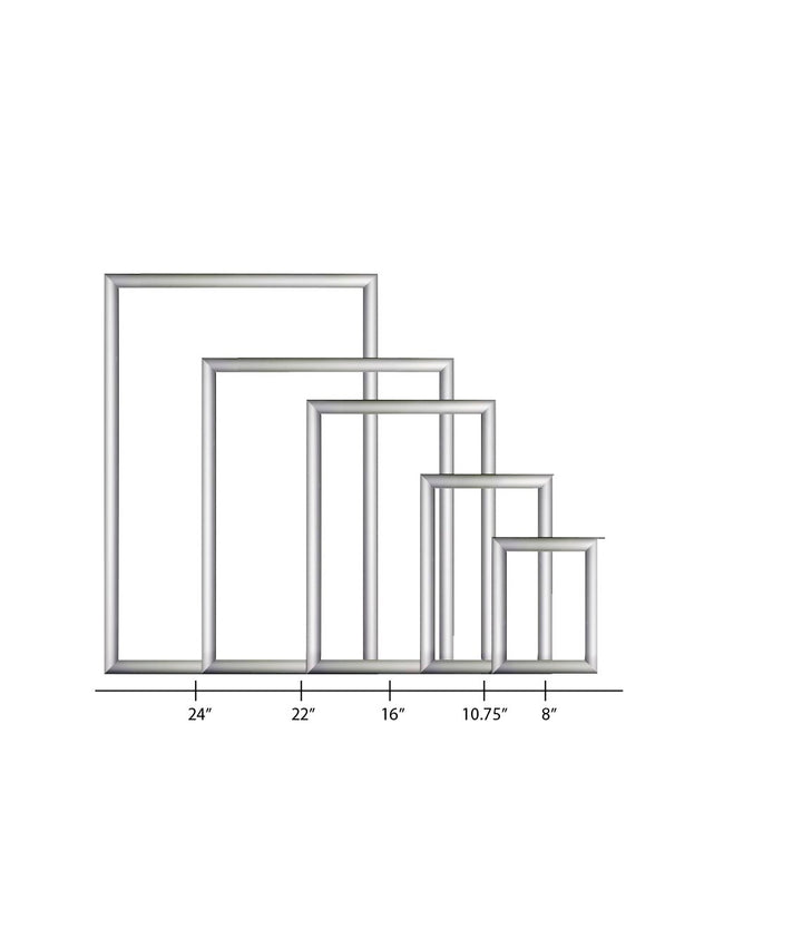 Wall-Mounted Picture Frame W/ Print Protector