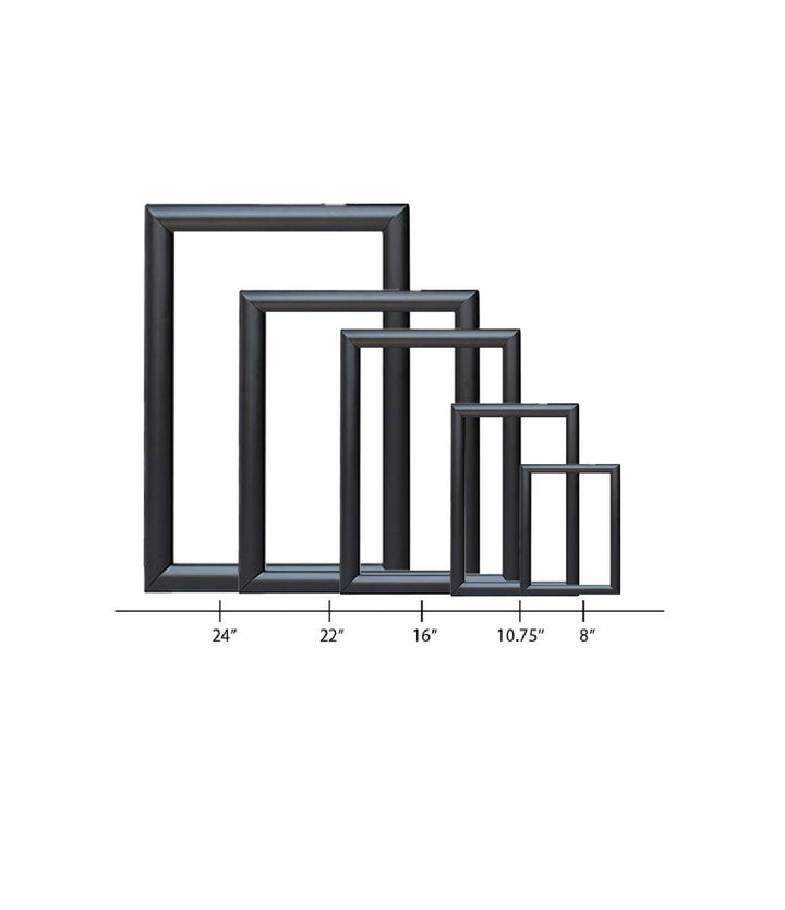 Wall-Mounted Picture Frame W/ Print Protector