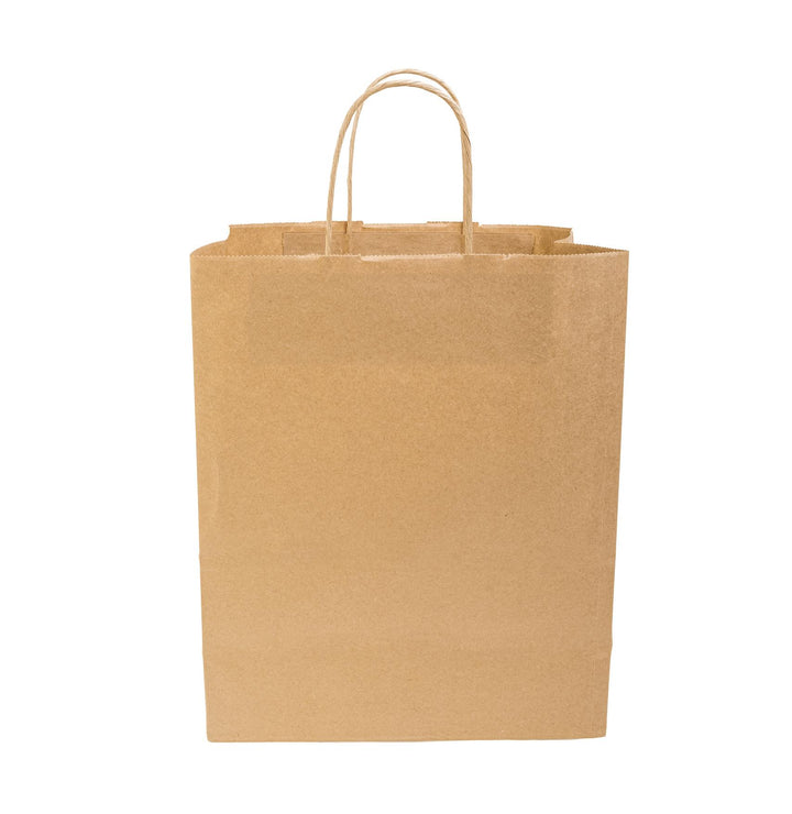Kraft Paper Bags with Twisted Handles (100-Pack) – Durable Take-Out & Retail Packaging