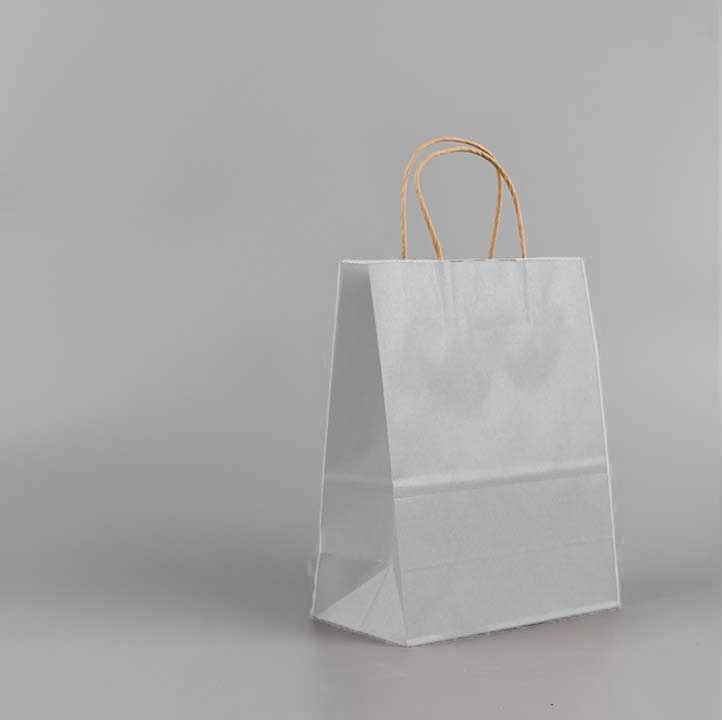 Coloured Twisted Paper Handles Paper Bag (100 pcs)