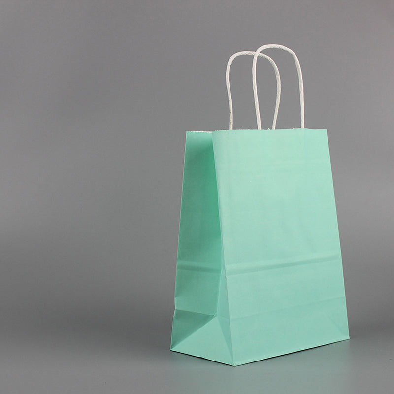 Coloured Twisted Paper Handles Paper Bag (100 pcs)