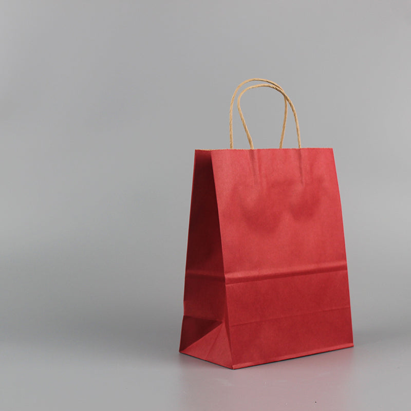 Coloured Twisted Paper Handles Paper Bag (100 pcs)