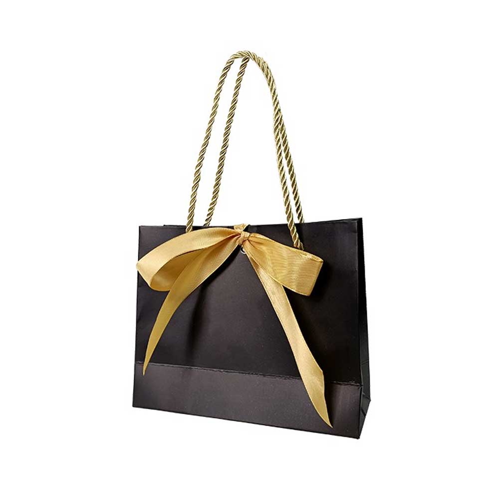Gift Paper Bag with Ribbon (20 pcs)