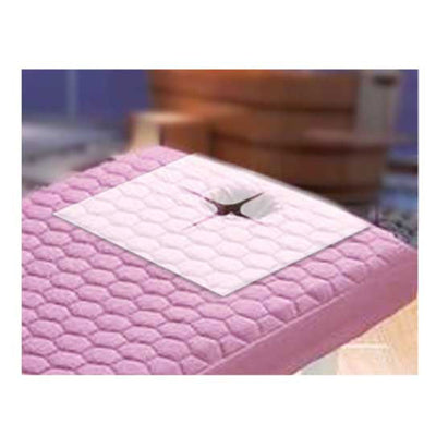 Disposable White Head Rest Cover - #DHR15