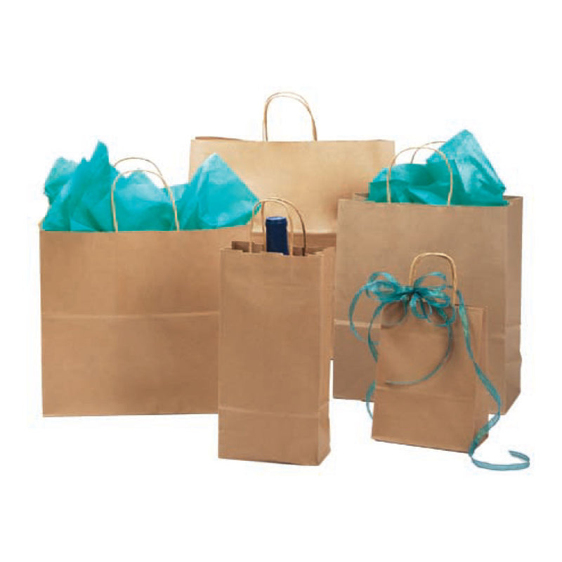Kraft Twisted Paper Handles Paper Bag (100 pcs)