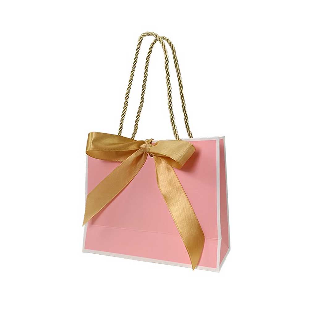 Gift Paper Bag with Ribbon (20 pcs)