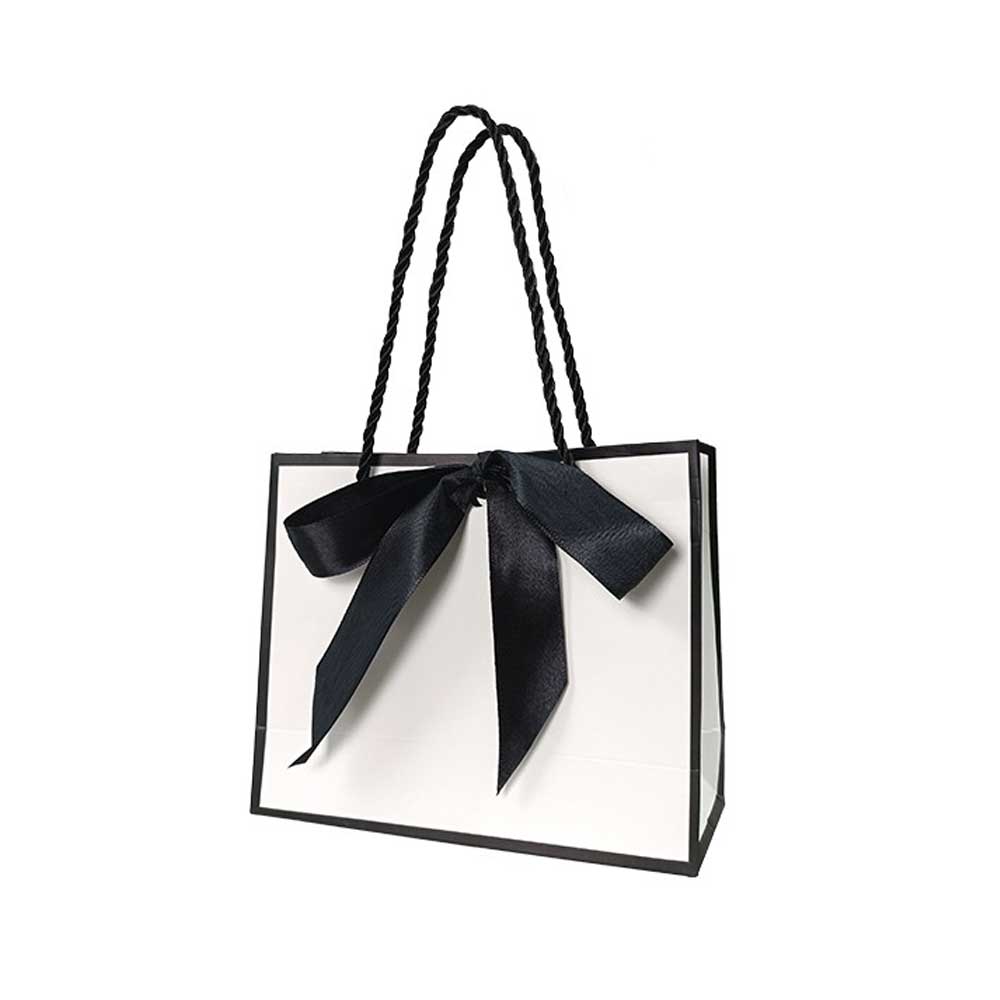 Gift Paper Bag with Ribbon (20 pcs)