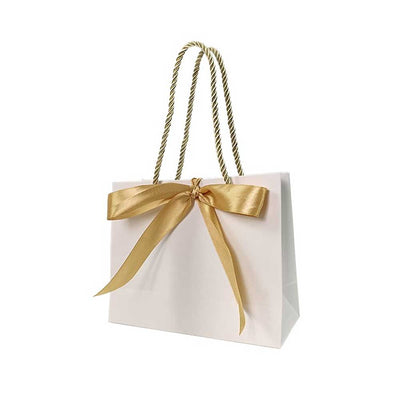 Gift Paper Bag with Ribbon (20 pcs)